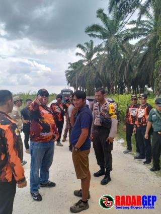 Pemuda Pancasila Kampar Bersama Formas Tapung Hilir Geruduk Perkebunan Sawit PT Naga Sakti Estate